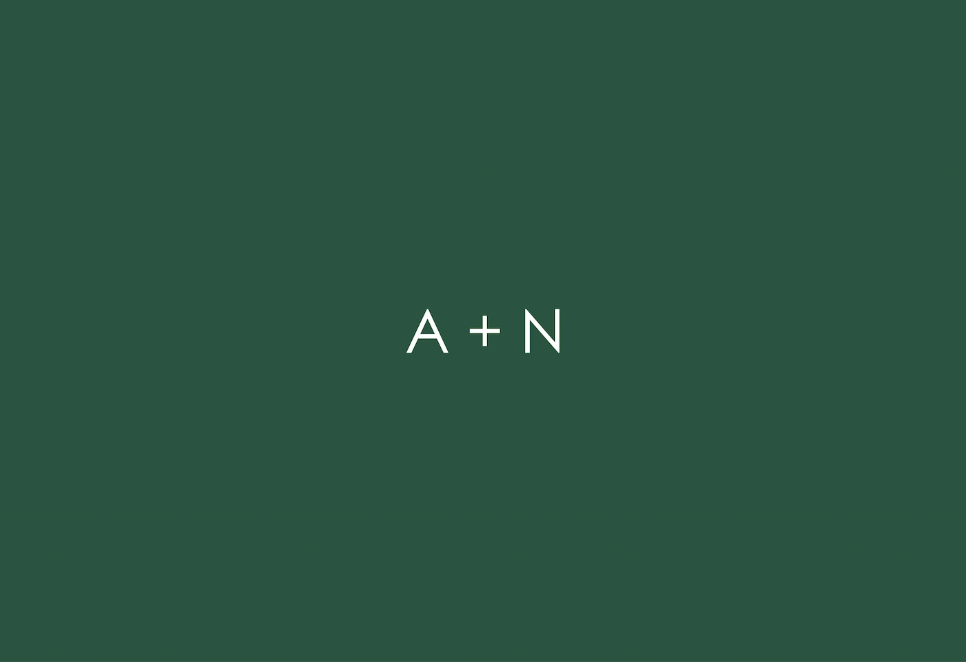 A.N Salon